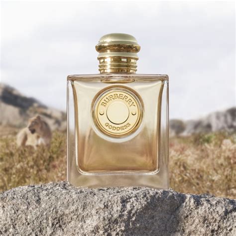 actrice pub burberry 2024|burberry goddess eau de parfum.